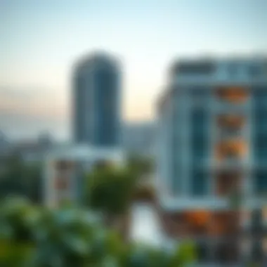 Investment Insights for مجمع زايد مزهر Market trends and investment potential analysis for مجمع زايد مزهر